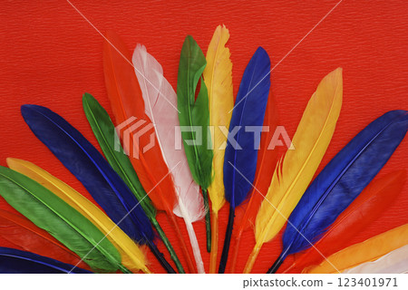 Colorful feathers on a red background. Decorative feathers. 123401971