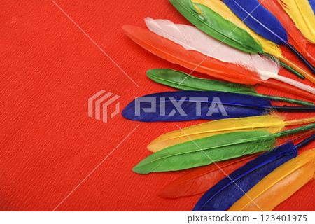 Colorful feathers on a red background. Decorative feathers. Colorful feathers on a red background. Decorative feathers. 123401975