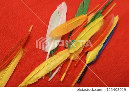 Colorful feathers on a red background. Decorative feathers. 123402039