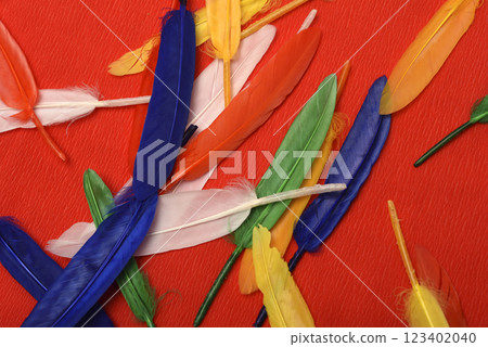 Colorful feathers on a red background. Decorative feathers. 123402040