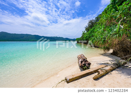 A spectacular spot on Ishigaki Island: Kabira Bay, with its crystal clear emerald green waters 123402284