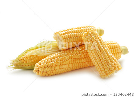 Fresh corn isolated on a white background. 123402448