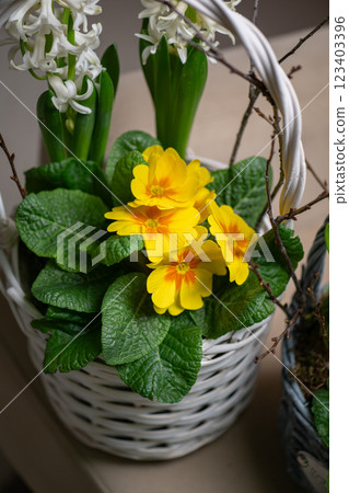 This charming flower basket showcases beautiful yellow blooms along with vibrant greenery 123403396