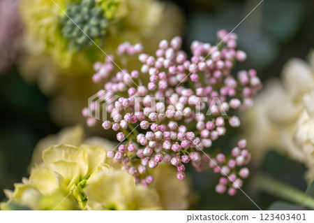 A Stunning Arrangement Featuring a Beautiful Bouquet close up A Stunning Arrangement Featuring a Beautiful Bouquet close up 123403401