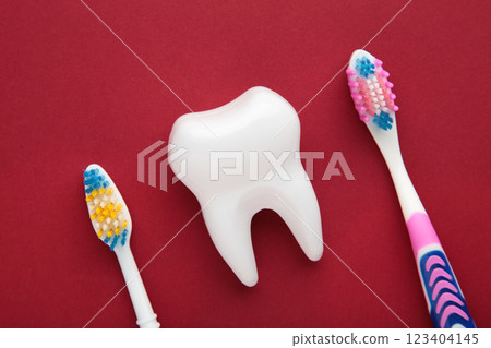White healthy tooth model and toothbrushes on red background. Dental care and healthcare concept. White healthy tooth model and toothbrushes on red background. Dental care and healthcare concept. 123404145