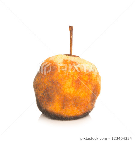apple peel dry isolated on white background 123404334