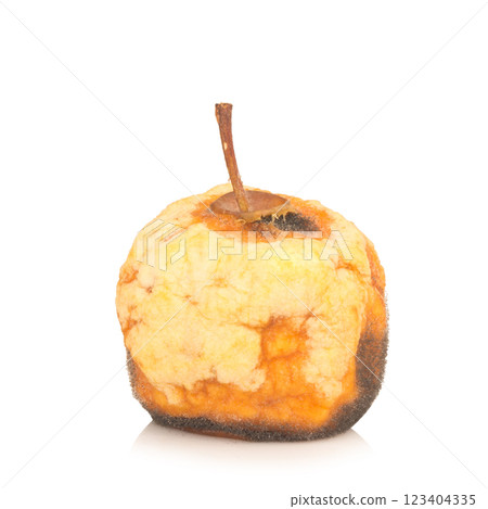 apple peel dry isolated on white background apple peel dry isolated on white background 123404335