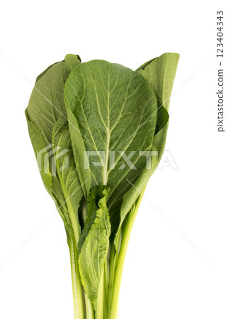 Chinese Kale isolated on white background 123404343