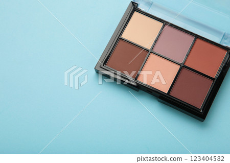 Palette of basic eyeshadows on blue background. Makeup concept Palette of basic eyeshadows on blue background. Makeup concept 123404582