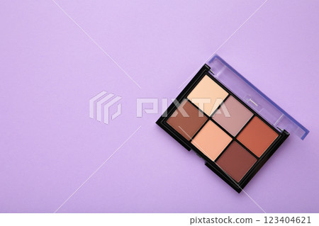 Palette of basic eyeshadows on purple background. Makeup concept. Space for text Palette of basic eyeshadows on purple background. Makeup concept. Space for text 123404621
