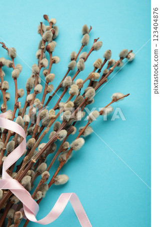 Bouquets of pussy willow branches with pink ribbon on blue background. 123404876