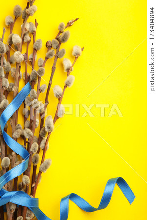 Bouquets of pussy willow branches with blue ribbon on yellow background. Vertical photo 123404894