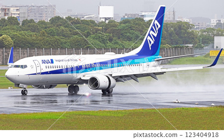 ANA737-800 Itami approach ANA737-800 Itami approach 123404918