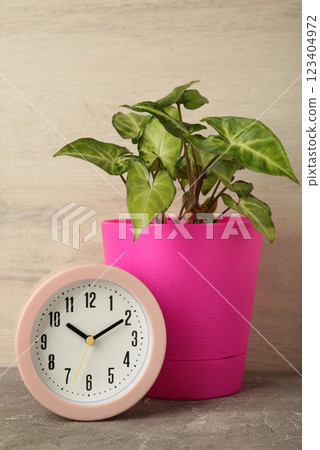 Good morning concept - modern alarm clock and houseplant on light background 123404972