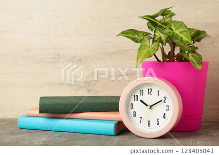 Front view desk with clock, books and plant on light background. Copy space Front view desk with clock, books and plant on light background. Copy space 123405041