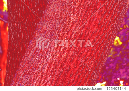 The bark of a tree with a fine structure. The structure of the bark on a thick trunk, background.  123405144