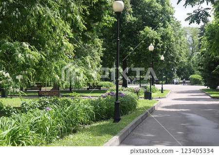 summer park. shady alleys, park of culture and rest 123405334