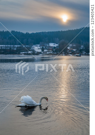 Winter mood on the frozen Lipno Dam. Czech Republic 123405421
