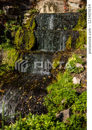 A small cascading waterfall flows over moss-covered rocks, surrounded by lush green plants and scattered autumn leaves. The tranquil scene is bathed in natural sunlight. 123405654
