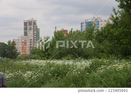 the banks of a small river are overgrown with grass and bushes. the banks of a small river are overgrown with grass and bushes. 123405691