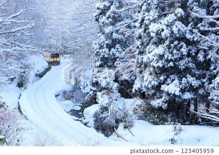 即使在雪季,貴志線也運作順暢。 即使在雪季,貴志線也運作順暢。 123405959