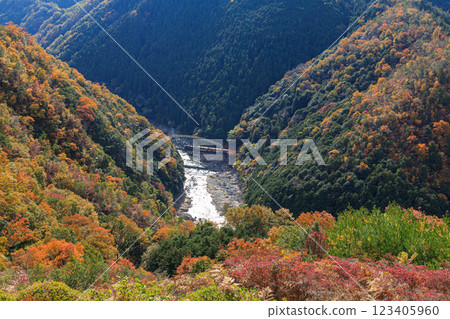 Looking down from the observation deck at the Sagano Scenic Railway running through the autumn-covered Hozukyo Gorge Looking down from the observation deck at the Sagano Scenic Railway running through the autumn-covered Hozukyo Gorge 123405960