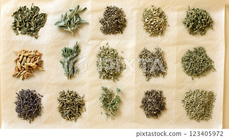 Various dried and fresh herbs, such as thyme, oregano, and sage, laid out on paper.  123405972