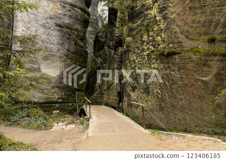 Rock city in Adrspach, Czech Republic. Texture of sandstone, The National park Adrspach Teplice rocks. High quality photo. Nature background 123406185