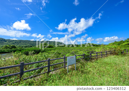 Nature of Ishigaki Island, Natural scenery of Iriomote-Ishigaki National Park 123406312
