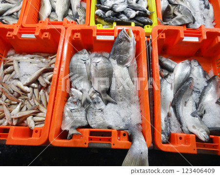 Fresh fish of various varieties sold at the market. 123406409