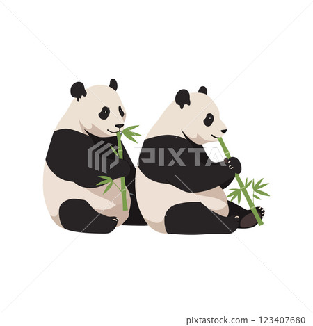 Two playful pandas enjoying bamboo in flat vector illustration Two playful pandas enjoying bamboo in flat vector illustration 123407680