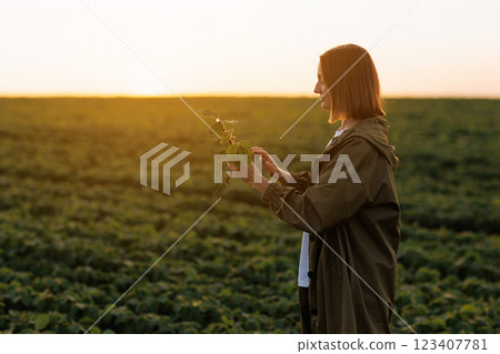 Female farmer with digital tablet holds soya plant, examines and checkins at field. Agronomist controls the growth and development of sprouts before harvesting. Smart farming soybean technology. 123407781