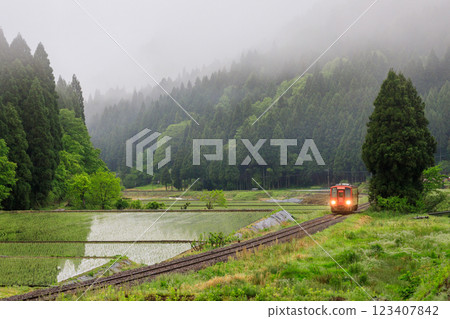 A single-car diesel railcar on the Echigo-Minami Hokuriku Line runs through a field of freshly planted rice shrouded in morning mist. A single-car diesel railcar on the Echigo-Minami Hokuriku Line runs through a field of freshly planted rice shrouded in morning mist. 123407842