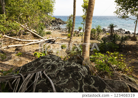 Landscape of palm trees and trees near a beach in the Indian Ocean, on the island of Pulau Weh, Sumatra, Indonesia 123408319