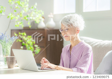 A senior woman operating a computer 123409075