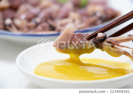 螢火蟲魷魚 螢火蟲魷魚 123409381