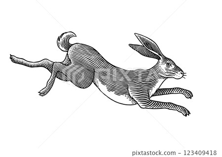 Hare or rabbit jumping. Wild animal running . Hand drawn or engraved sketch style traditional Hare or rabbit jumping. Wild animal running . Hand drawn or engraved sketch style traditional 123409418