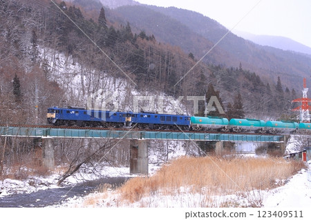 A freight train of EF64 double-units (8084 train) running powerfully on the Kisoji road in winter_Photo taken on 2025/2/8 123409511