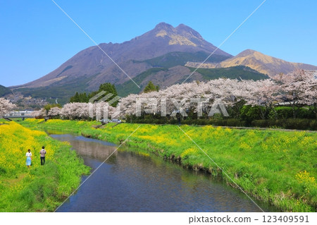 春季百花盛開的由布院(由布市由布院町) 春季百花盛開的由布院(由布市由布院町) 123409591