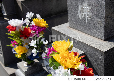 參觀墳墓 123409763