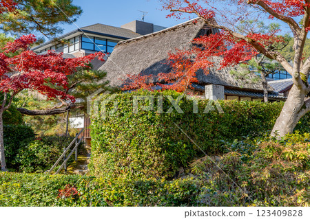 Iwakura Tomomi's former residence in Iwakura Kamikuracho, Sakyo Ward, Kyoto City: Main house (Rinunken) and autumn leaves Iwakura Tomomi's former residence in Iwakura Kamikuracho, Sakyo Ward, Kyoto City: Main house (Rinunken) and autumn leaves 123409828