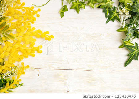 Botanical Frame | Mimosa and Green Botanical Frame | Mimosa and Green 123410470