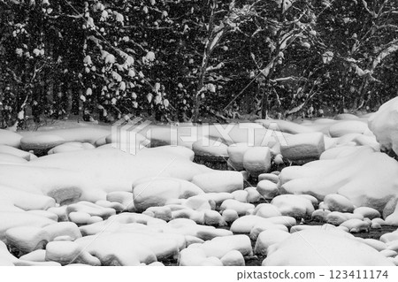 Snow-capped river landscape, snow caps on stones and forest scenery, b-3, monochrome 123411174