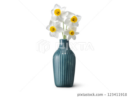 Daffodil flowers in a vase 123411918