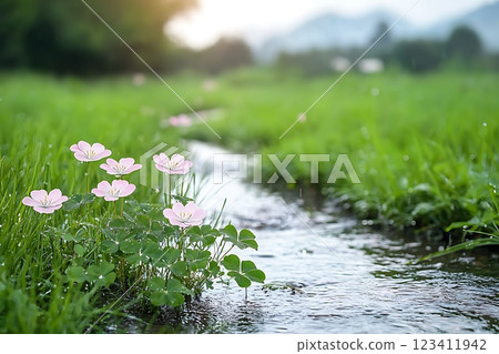 serene image of delicate pink flowers blooming by a tranquil stream in a lush green meadow.  123411942