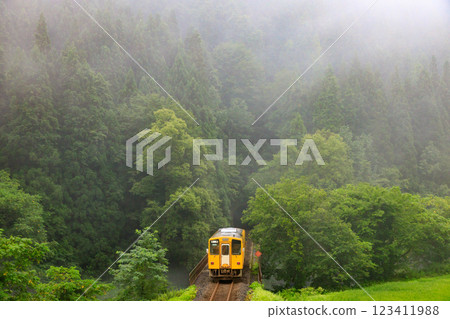 A yellow diesel train on the Akita Inland Line running through the morning mist A yellow diesel train on the Akita Inland Line running through the morning mist 123411988