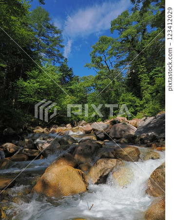 夏季山間溪流 夏季山間溪流 123412029
