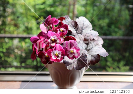 Arranging Violas and Heucheras Arranging Violas and Heucheras 123412503