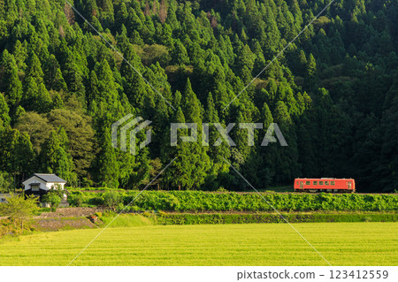 A single-car diesel railcar on the Etsumi-Hoku Line running alongside the rice fields of Ushigahara 123412559