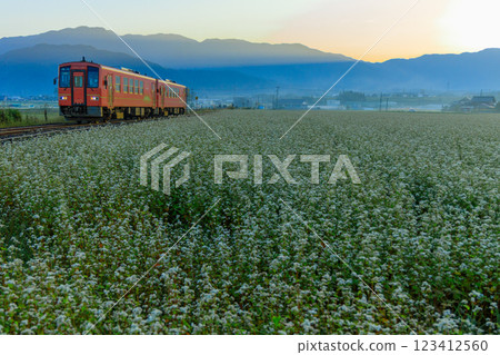 越前田野的房屋群和蕎麥田，迎接著越前南北陸線的第一班列車。 123412560